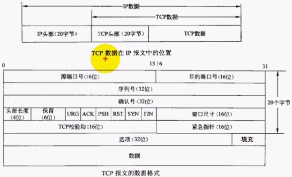 TCP报文的数据格式