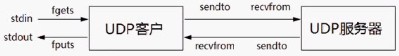 UDP回射客户/服务器