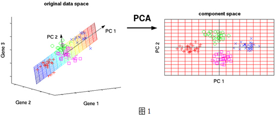 pca图1